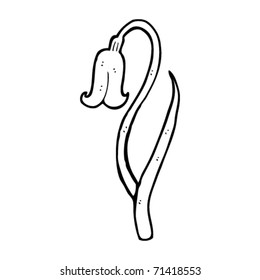 single snowdrop flower cartoon