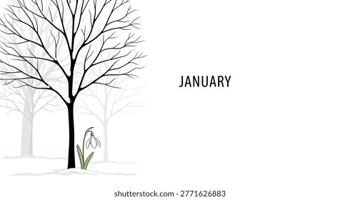 A single snowdrop flower pushes through the snow beneath a stark, leafless tree, symbolizing the first month of the year.