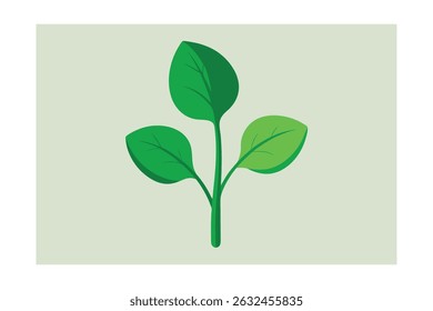 Espinafre único com folhas verdes pequenas