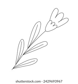 Single spring flower, doodle style flat vector outline for coloring book