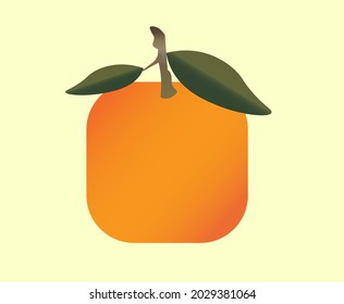 ilustración vectorial de frutos de clementina cuadrada única