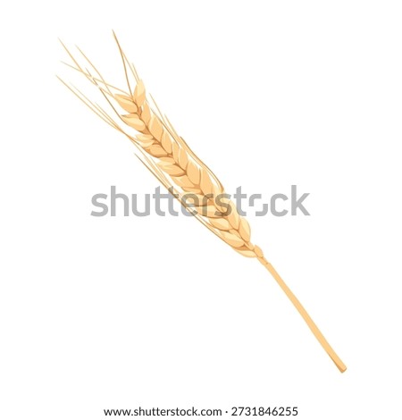 A single stalk of golden wheat with a few grains, set against a clean white background, showcasing its delicate texture and natural beauty in a simple composition.
