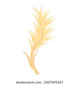 Single stalk of wheat growing upward, isolated on a white background