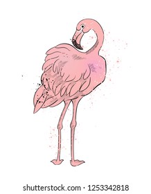 Single standing flamingo, vector