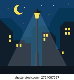 Lâmpada de rua única iluminando a rua vazia da cidade noite plana vetor ilustração