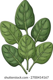 A single, stylized green leaf with prominent veins against a clean white backdrop