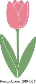 Single Stylized Tulip Flower Blooming With Minimalist Clean Outlines on a Pure White Isolated Background Scene