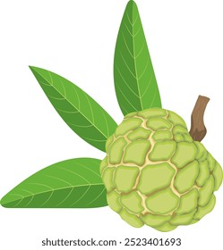 Macieira de açúcar única ou fruta de maçã de guardanapo isolar no fundo branco