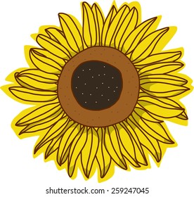 A Single Sun Flower