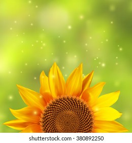 Single sunflower with a blurred green background.Vector illustration.
