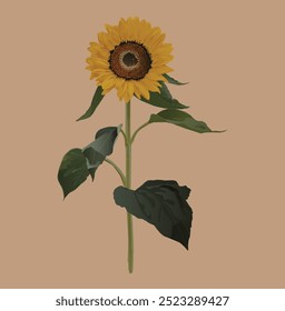 A single sunflower with a bright yellow head and dark brown center stands tall on a green stem with large leaves against a light brown background.