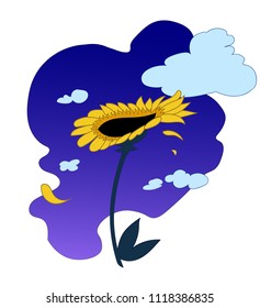 A single sunflower with falling petals and sky on the background