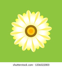 Single sunflower flower, icon, vector.