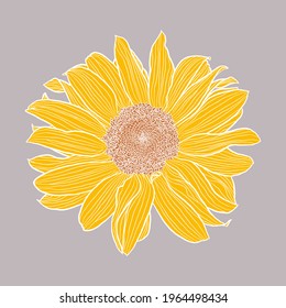Dibujo digital de cabeza de girasol simple, amarillo y terracota con contorno blanco sobre gris. Ilustración vectorial floral de estilo moderno. Elemento de diseño decorativo para papel pintado, envoltura, textil, tela.
