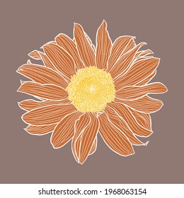 Single sunflower head digital drawing, terracotta and yellow with white outline on taupe. Floral vector illustration in modern style. Decorative design element for wallpaper, wrapping, textile, fabric