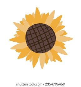 Single sunflower isolated on white background. Vector illustration. Flat flowers concept. Hand drawn illustration for menu, design, banner, flyer