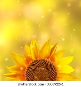 A single sunflower on a yellow background, vector illustration.