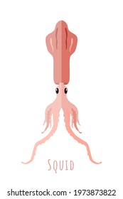 Single symmetrical squid made in flat, style isolated on white background. Fresh seafood icon. Vector EPS10 illustration