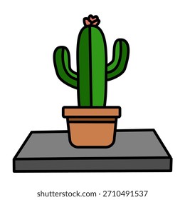 Single Tall Cactus on Shelf