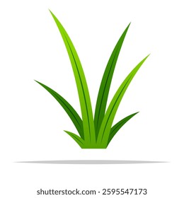 Single tall grass vector isolated illustration