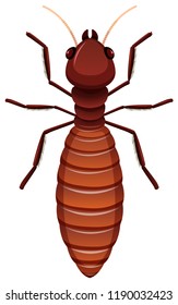 Single terminte white background illustration