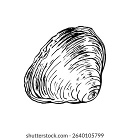 A single, textured seashell with swirling patterns and natural curves. Hand drawn black and white vector illustration. Ideal for coastal themed artworks, educational materials, or oceanic designs.