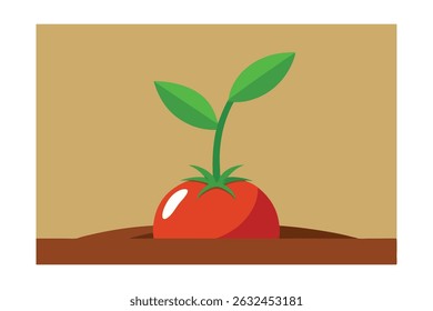 Plántulas de tomate en el suelo