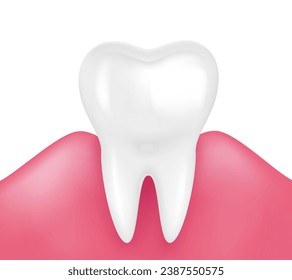 Single tooth with healthy gums isolated on white background. Medical and dental health. Realistic 3D vector file.