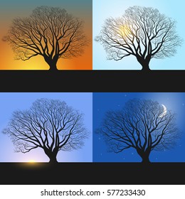 Single Tree, Banners Showing Day Sequence - Morning, Noon, Evening And Night.