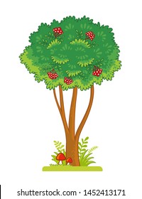 Single tree with berries on a white background. Vector illustration with rowan on the glade in cartoon style.