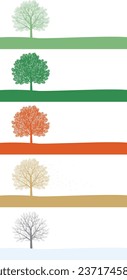 A single tree. Changes in leaves during the four seasons. Illustration 