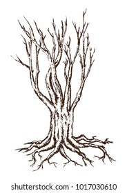 Single Tree Drawing.tree silhouettes on white background. Hand-drawn sketch illustration