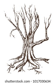 Single Tree Drawing.tree silhouettes on white background. Hand-drawn sketch illustration