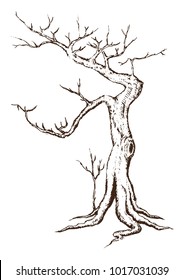 Single Tree Drawing.tree silhouettes on white background. Hand-drawn sketch illustration