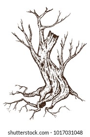 Single Tree Drawing.tree silhouettes on white background. Hand-drawn sketch illustration