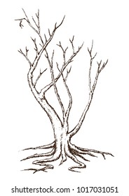 Single Tree Drawing.tree silhouettes on white background. Hand-drawn sketch illustration
