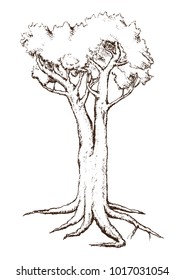 Single Tree Drawing.tree silhouettes on white background. Hand-drawn sketch illustration