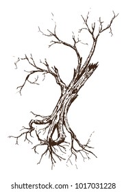 Single Tree Drawing.tree silhouettes on white background. Hand-drawn sketch illustration