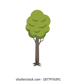Single tree with green foliage icon flat vector illustration