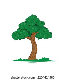 Single tree, one fertile tree with grass. tall tree. forest element. 