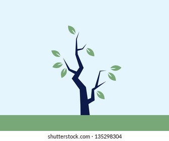 Single tree with several leaves