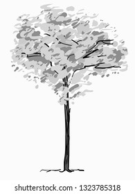 Single tree sketch. Black and white drawing isolated on white background. Simple art. Can be used for card banner template. Vector illustration.