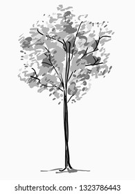Single tree sketch. Black and white drawing isolated on white background. Simple art. Can be used for card banner template. Vector illustration.