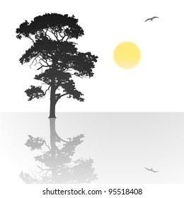 A Single Tree Standing Alone with Reflection in Water