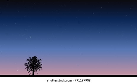 Single tree under night sky with stars Vector illustration