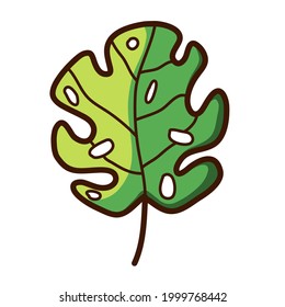 single tropic botanical plant leaf with holes vector illustration icon design template with doodle hand drawn fill color style