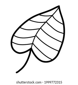 einzelne tropische pflanzliche Blattvektorgrafik-Design-Vorlage mit handgezeichnet doodle Rahmenstil