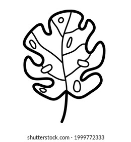 hoja de planta botánica única trópica con agujeros ilustración vectorial plantilla de diseño de icono con forma de contorno dibujado a mano de doodle