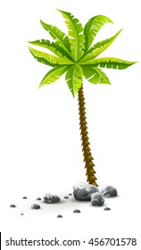Una planta de palmera de coco tropical con hojas verdes en piedras detalle de naturaleza ilustración vectorial de la palmera de coco aislada en fondo blanco transparente