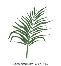single tropical leaf icon image 